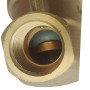 Редуктор тиску 3/4 мембранний RAFTEC (Max 5,5 Bar)