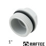 Заглушка пластиковая резьбовая 1 дюйм Raftec