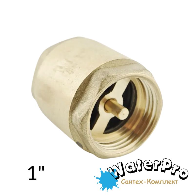 Клапан обратный для воды с латунным штоком 1" WATERPRO
