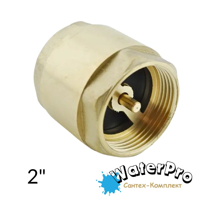 Клапан обратный для воды с латунным штоком 2" WATERPRO